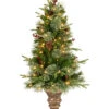 National Tree Company 4ft Colonial Entrance Tree With Clear Lights Home