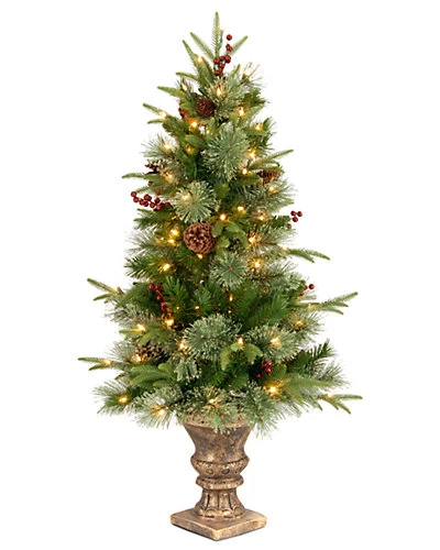 National Tree Company 4ft Colonial Entrance Tree With Clear Lights Home 1 National Tree Company 4ft Colonial Entrance Tree With Clear Lights Home