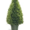 National Tree Company 36in Upright Juniper Tree With Pot Home