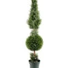 National Tree Company 60in Juniper Cone & Ball Tree With Pot Home