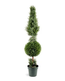 National Tree Company 60in Juniper Cone & Ball Tree With Pot Home