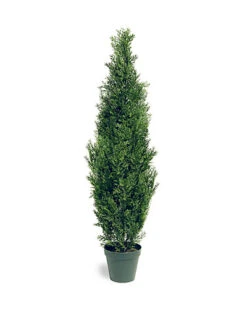 National Tree Company 60in Arborvitae Tree With Pot Home