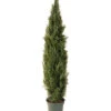 National Tree Company 72in Arborvitae Tree With Pot Home