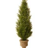 National Tree Company 60in Arborvitae Home