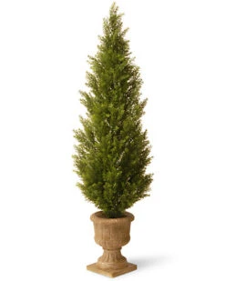 National Tree Company 60in Arborvitae Home