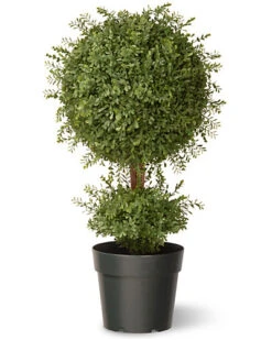 National Tree Company 30in Mini Tea Leaf Topiary Home