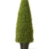 National Tree Company Boxwood Tree With Pot Home
