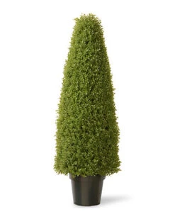 National Tree Company Boxwood Tree With Pot Home