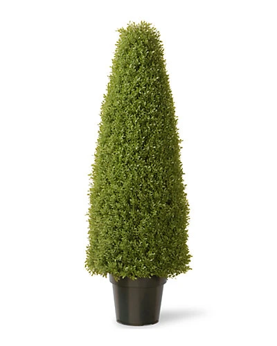 National Tree Company Boxwood Tree With Pot Home 1 National Tree Company Boxwood Tree With Pot Home