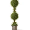 National Tree Company Mini Tea Leaf 2-Ball Topiary Home
