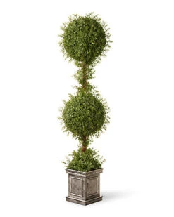 National Tree Company Mini Tea Leaf 2-Ball Topiary Home