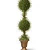 National Tree Company 60in Mini Tea Leaf 2-Ball Topiary Home
