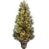 National Tree Company 5ft Wispy Willow Grande Entrance Tree With Clear Lights Home