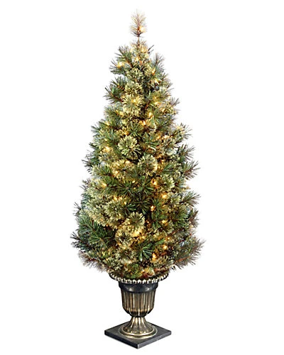 National Tree Company 5ft Wispy Willow Grande Entrance Tree With Clear Lights Home 1 National Tree Company 5ft Wispy Willow Grande Entrance Tree With Clear Lights Home