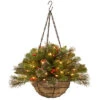 National Tree Company 20in Crestwood Spruce Hanging Basket With Battery Operated Warm White LED Lights Home