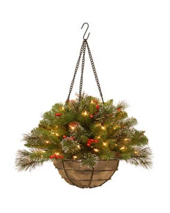 National Tree Company 20in Crestwood Spruce Hanging Basket With Battery Operated Warm White LED Lights Home