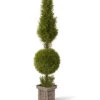 National Tree Company Juniper Cone & Ball Topiary In Pot Home