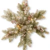 National Tree Company 18in Dunhill Fir Snowflakes With LED Lights Home