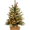 National Tree Company 2ft Dunhill Fir Small Tree With LED Lights Home