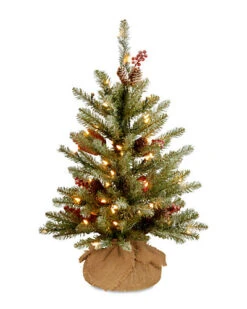 National Tree Company 2ft Dunhill Fir Small Tree With LED Lights Home