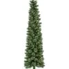 National Tree Company 7Ft Pre-Lit Curtis Pine Pencil Slim Tree With Led Lights Home