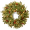 National Tree Company 24in Noelle Wreath With 30 Soft White LED Battery Operated Lights Home