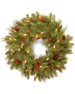 National Tree Company 24in Noelle Wreath With 30 Soft White LED Battery Operated Lights Home