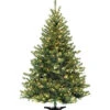 National Tree Company 6ft Kincaid Spruce Tree With 400 Clear Lights Home
