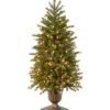 National Tree Company 4' Poly Jersey Fraser Fir Entrance Tree In Dark Bronze Plastic Pot With 100 Clear Lights-UL Home