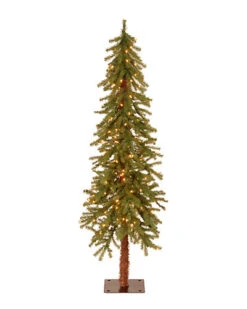 National Tree Company 5ft Hickory Cedar Tree With 150 Clear Lights Home