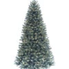 National Tree Company 9ft North Valley Blue Spruce Tree W/ 800 Clear Lights Home
