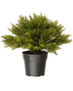 National Tree Company 24in Globe Juniper Home
