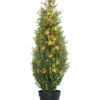 National Tree Company 36in Arborvitae Home