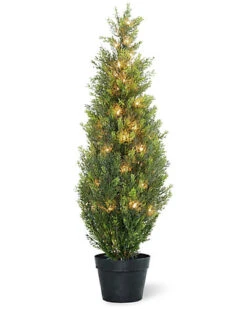 National Tree Company 36in Arborvitae Home