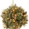 National Tree Company 12in Glittery Bristle Pine Kissing Ball With Pine Cones Home