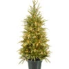 National Tree Company 4' Weeping Spruce Wrapped Tree In Green Pot Home
