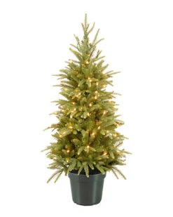 National Tree Company 4' Weeping Spruce Wrapped Tree In Green Pot Home