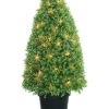 National Tree Company 36in Lighted Boxwood Tree Home