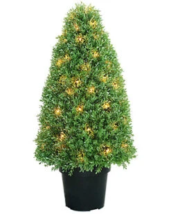 National Tree Company 36in Lighted Boxwood Tree Home