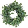 National Tree Company 24In Eucalyptus Leaves Wreath Home