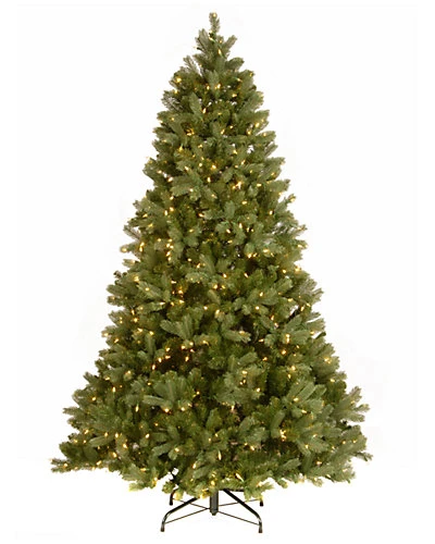 National Tree Company 7.5ft Feel Real Downswept Douglas Tree With Clear Lights Home 1 National Tree Company 7.5ft Feel Real Downswept Douglas Tree With Clear Lights Home