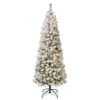 National Tree Company First Traditions Pre-Lit Acacia Flocked Tree Medium Christmas Tree, Clear Incandescent Lights, Plug In, 6 Ft