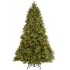 National Tree Company 9 Ft. Downswept Douglas® Fir Tree With Dual Color® LED Lights