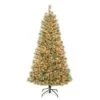 National Tree Company First Traditions Pre-Lit Arcadia Pine Cashmere Christmas Tree, Clear Incandescent Lights, Plug In, 6 Ft