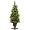 National Tree Company 45 Ft Carolina Pine Entrance Tree With Battery Operated LED Lights
