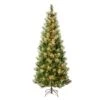 National Tree Company First Traditions Pre-Lit Charleston Pine Snowy Slim Christmas Tree, Clear Incandescent Lights, Plug In, 7.5 Ft
