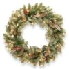 National Tree Company 30 In. Dunhill(R) Fir Wreath With Clear Lights