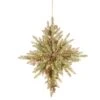 National Tree Company 32 In. Snowy Dunhill® Fir Bethlehem Star With Battery Operated LED Lights