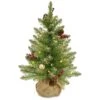 National Tree Company Pre-Lit Artificial Full Christmas Tree, Glittery Gold, Dunhill Fir, White Lights, Decorated With Pine Cones, Berry Clusters, Frosted Branches, Includes Burlap Base, 2 Feet