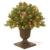 National Tree Company 24in Frosted Berry Porch Bush With Clear Lights